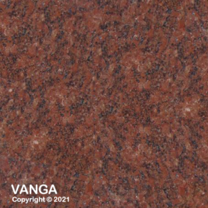 031 Vanga 2