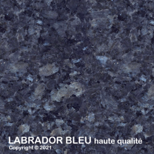 051 LabradorBlueHQ 2