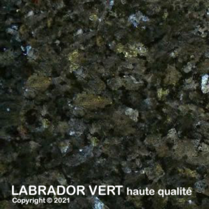 057 LabradorVertHQ 2